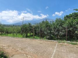  Land for sale in Malang Regency, East Jawa, Bumiaji, Malang Regency