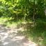  Land for sale in Selemadeg, Tabanan, Selemadeg