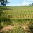  Land for sale in Selemadeg, Tabanan, Selemadeg