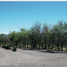 Land for sale in Pedro Escobedo, Queretaro, Pedro Escobedo