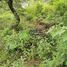  Land for sale in Charo, Michoacan, Charo