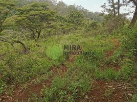  Terreno (Parcela) en venta en Charo, Michoacán, Charo