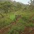  Land for sale in Charo, Michoacan, Charo