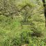  Terreno (Parcela) en venta en Charo, Michoacán, Charo