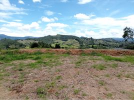  Grundstück zu verkaufen in La Ceja, Antioquia, La Ceja, Antioquia, Kolumbien