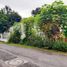  Terreno (Parcela) en venta en Ngaglik, Yogyakarta, Ngaglik