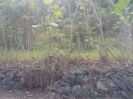  Land for sale in Bantul, Yogyakarta, Sedayu, Bantul