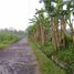  Land for sale in Depok, Sleman, Depok