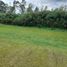  Land for sale in Rionegro, Antioquia, Rionegro