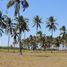  Land for sale in Cabo Corrientes, Jalisco, Cabo Corrientes