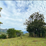  Land for sale in Vilcabamba Victoria, Loja, Vilcabamba Victoria, Loja, Loja