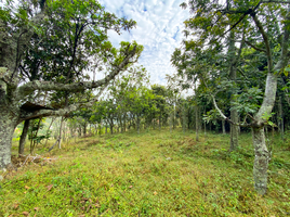  Land for sale in Vilcabamba Victoria, Loja, Vilcabamba Victoria, Loja, Loja