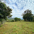  Land for sale in Vilcabamba Victoria, Loja, Vilcabamba Victoria, Loja, Loja