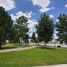  Terreno (Parcela) en venta en Arteaga, Coahuila, Arteaga