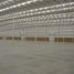 29,708 Sqft Office for rent in Viesca, Coahuila, Viesca