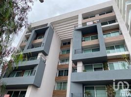 2 Bedroom Apartment for rent in San Luis Potosi, San Luis Potosi, San Luis Potosi, San Luis Potosi