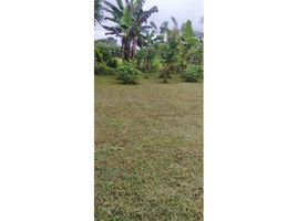  Terrain for sale in David, Chiriqui, David, David