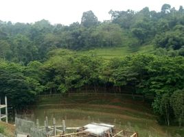 4 Bedroom House for sale in Lembang, West Jawa, Lembang