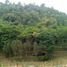 4 Bedroom House for sale in Lembang, West Jawa, Lembang