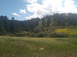  Grundstück zu verkaufen in Huixquilucan, Mexico, Huixquilucan, Mexico