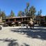  Land for sale in Tepetitla De Lardizabal, Tlaxcala, Tepetitla De Lardizabal