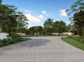  Land for sale in Valladolid, Yucatan, Valladolid