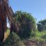  Land for sale in Culiacan, Sinaloa, Culiacan, Sinaloa, Mexico