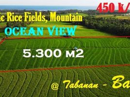  Land for sale in Selemadeg, Tabanan, Selemadeg