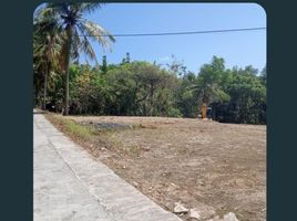  Land for sale in Bantul, Yogyakarta, Sedayu, Bantul