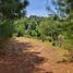  Land for sale in Mineral Del Chico, Hidalgo, Mineral Del Chico