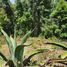  Land for sale in Mineral Del Chico, Hidalgo, Mineral Del Chico
