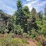 Land for sale in Mineral Del Chico, Hidalgo, Mineral Del Chico
