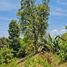  Land for sale in Mineral Del Chico, Hidalgo, Mineral Del Chico