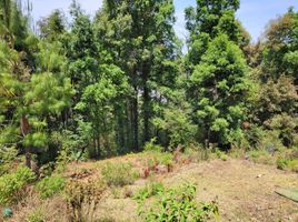  Land for sale in Mineral Del Chico, Hidalgo, Mineral Del Chico