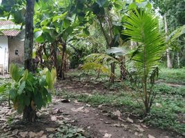  Tanah for sale in Pengasih, Kulon Progo, Pengasih