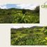  Land for sale in Cabo Corrientes, Jalisco, Cabo Corrientes
