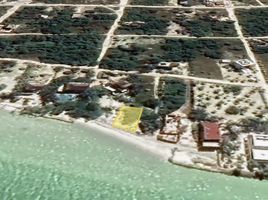  Terreno (Parcela) en venta en Lazaro Cardenas, Quintana Roo, Lazaro Cardenas