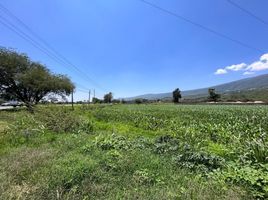  Grundstück zu verkaufen in Tlajomulco De Zuniga, Jalisco, Tlajomulco De Zuniga
