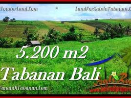  Land for sale in Selemadeg, Tabanan, Selemadeg