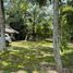  Land for sale in Tekom, Yucatan, Tekom
