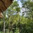  Land for sale in Tekom, Yucatan, Tekom