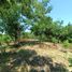  Land for sale in Dist Pochutla, Oaxaca, Dist Pochutla, Oaxaca
