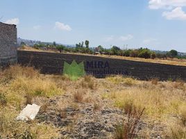  Land for sale in Tarimbaro, Michoacan, Tarimbaro