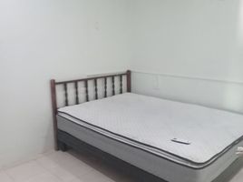 在Progreso, Yucatan出租的3 卧室 屋, Progreso