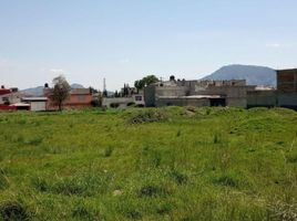  Grundstück zu verkaufen in Almoloya De Juarez, Mexico, Almoloya De Juarez