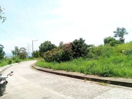  Land for sale in Talisay City, Cebu, Talisay City