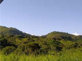  Land for sale in Las Huacas, Nata, Las Huacas