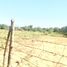  Land for sale in Hermosillo, Sonora, Hermosillo