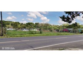  Land for sale in Baru, Chiriqui, Progreso, Baru