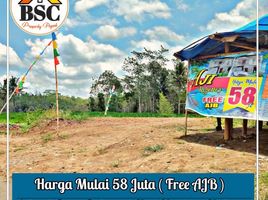  Land for sale in Malang Regency, East Jawa, Kepanjen, Malang Regency